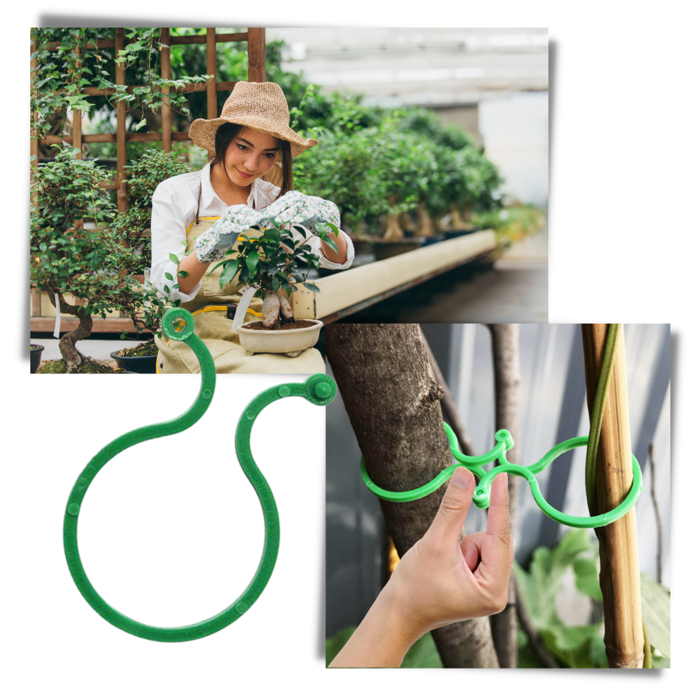 Packung Gartenpflanzenhalter-Clips
