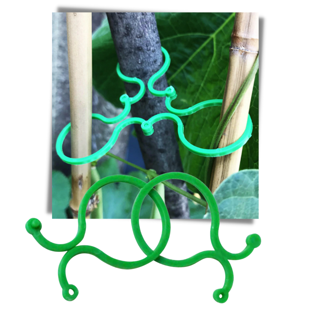 Packung Gartenpflanzenhalter-Clips