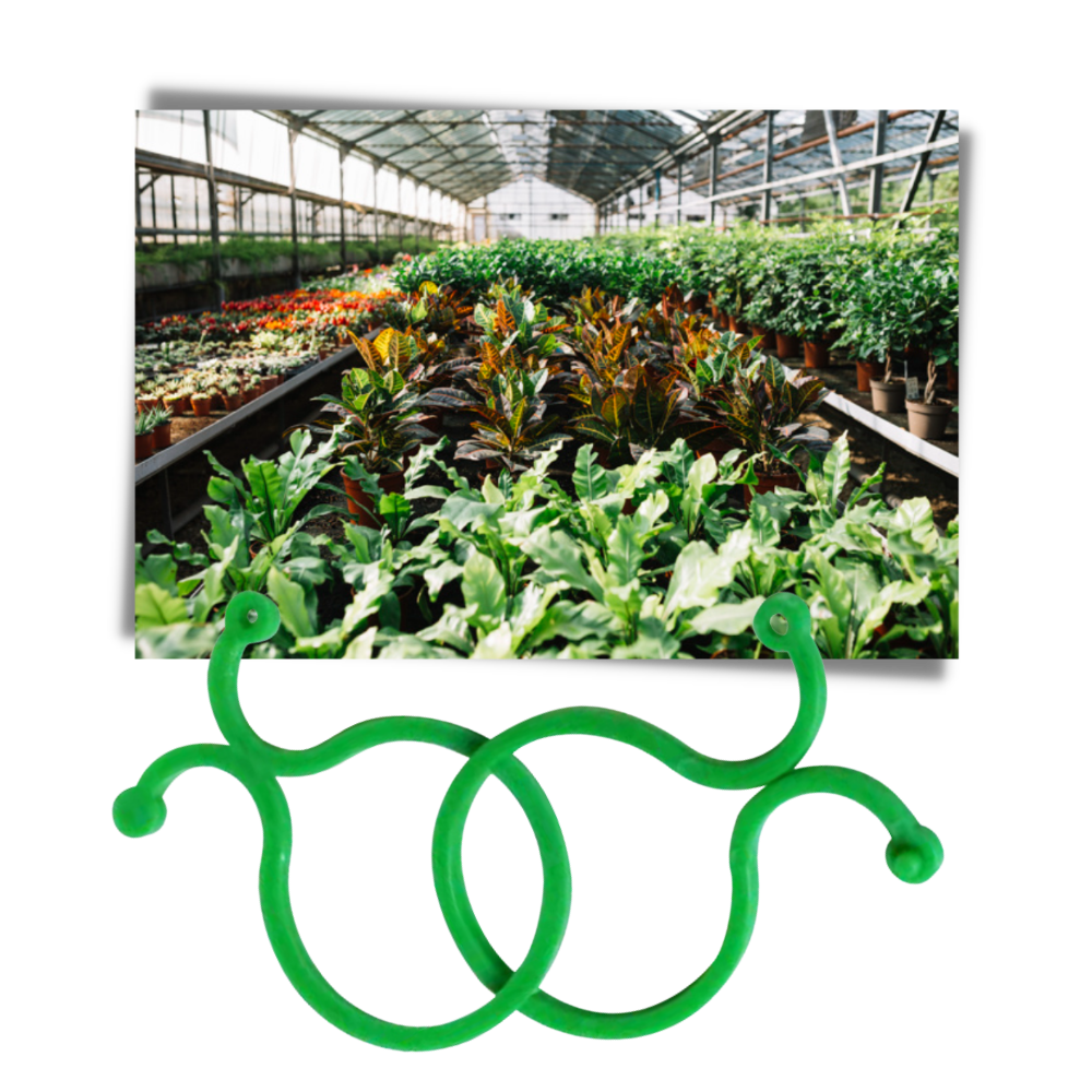 Packung Gartenpflanzenhalter-Clips