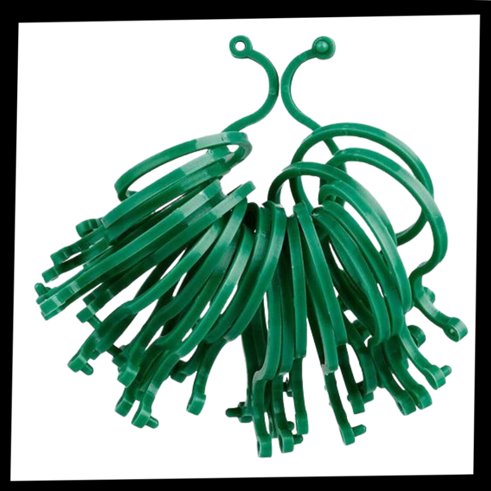 Packung Gartenpflanzenhalter-Clips