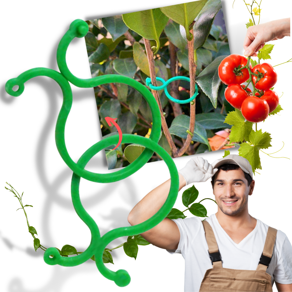 Packung Gartenpflanzenhalter-Clips