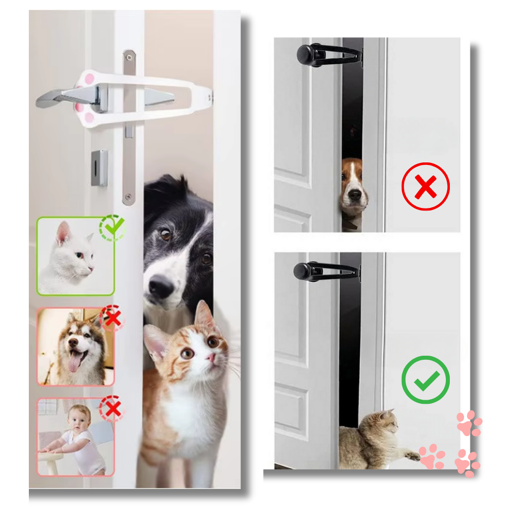Innovativer Türriegel für Katzen